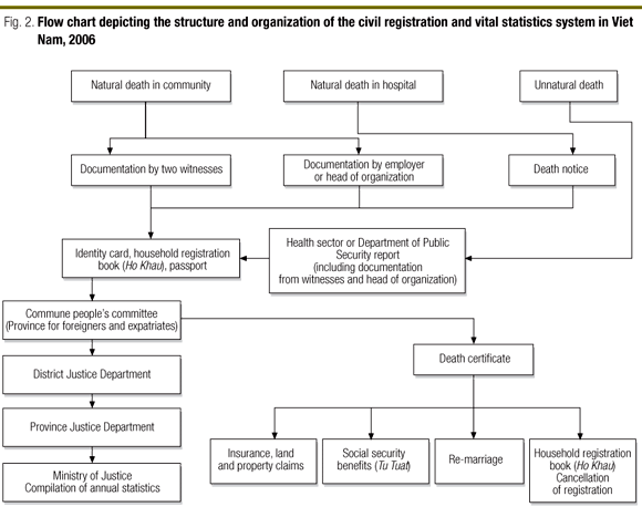 Vital Chart Health Information Management