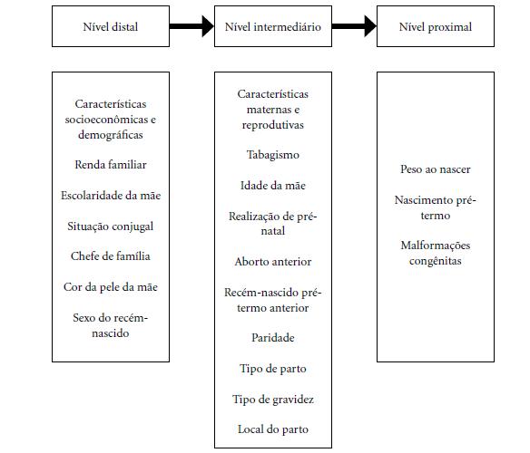 Modelo teórico hierarquizado dos possíveis fatores associados à