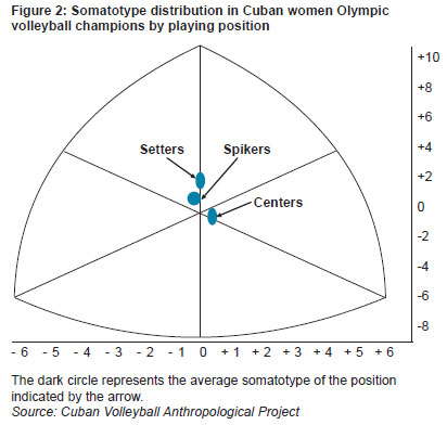 Somatotype Chart